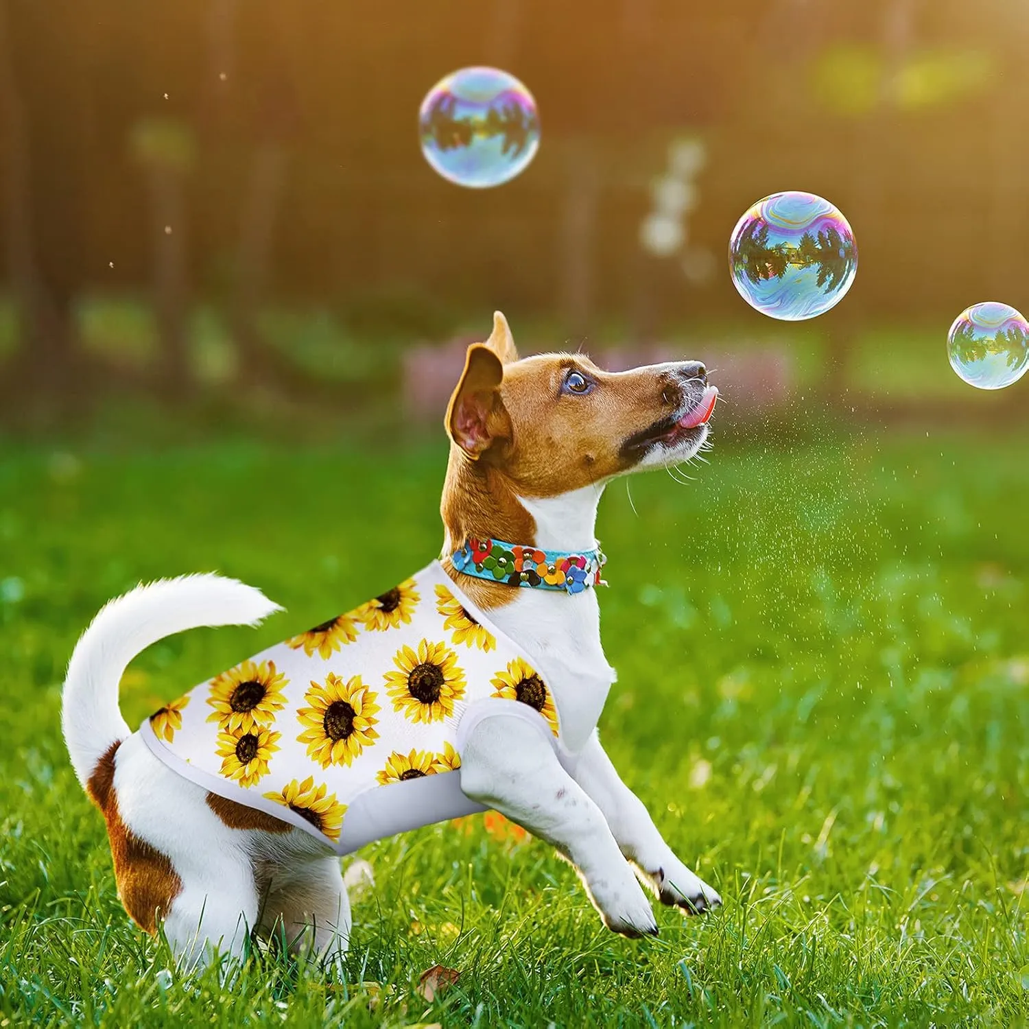 8 Pieces Sublimation Blank Dog Shirt, Heat Transfer Dog Apparel Pajamas, Heat Press Lightweight Puppy Vest, Cool Breathable Clothes for Small Medium Wearing(L)