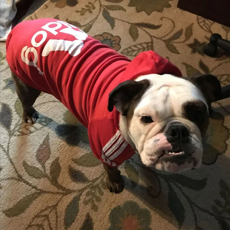 Adidog Pup Sweater