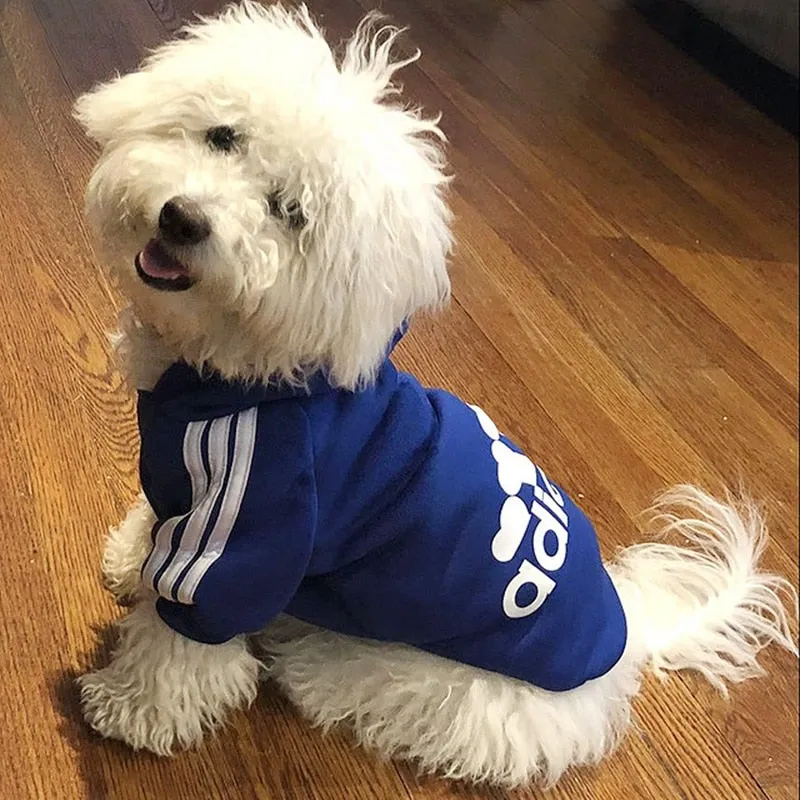 Adidog Pup Sweater