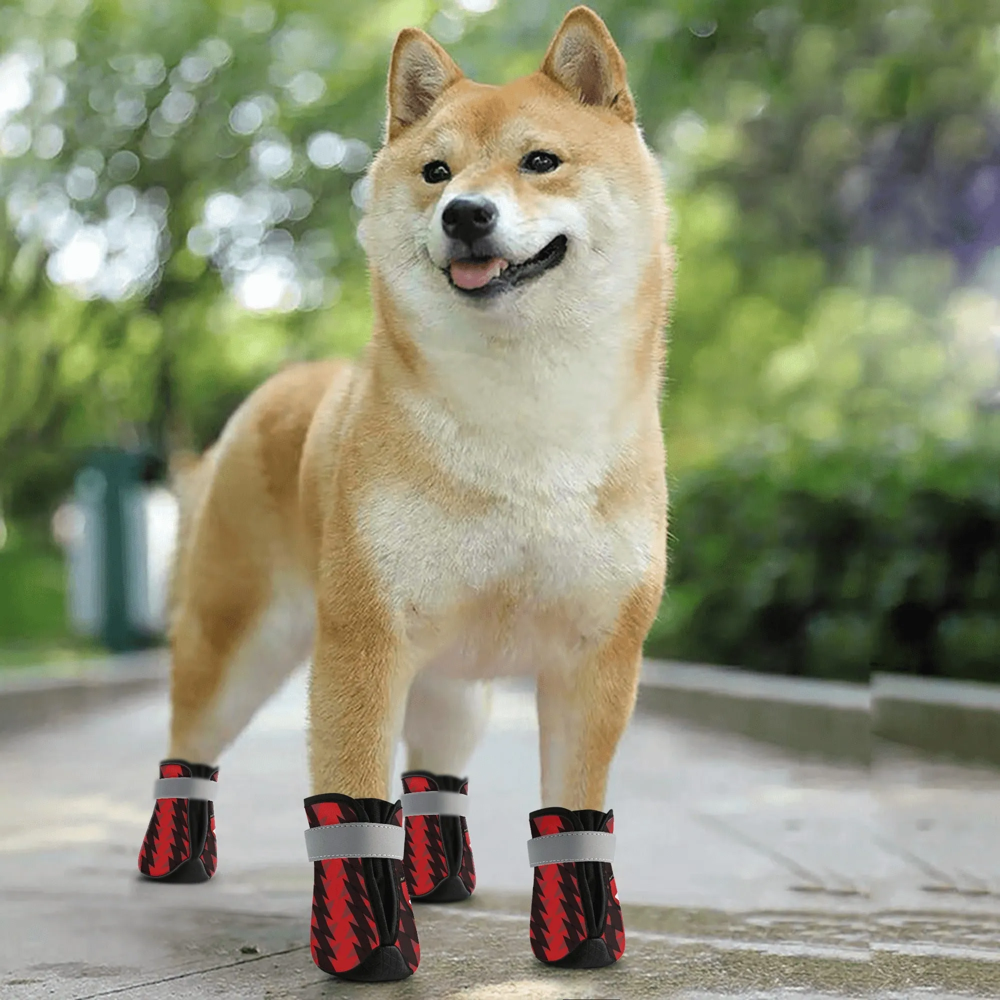 AFC Bournemouth 23 Home-Inspired Non Slip Dog Socks