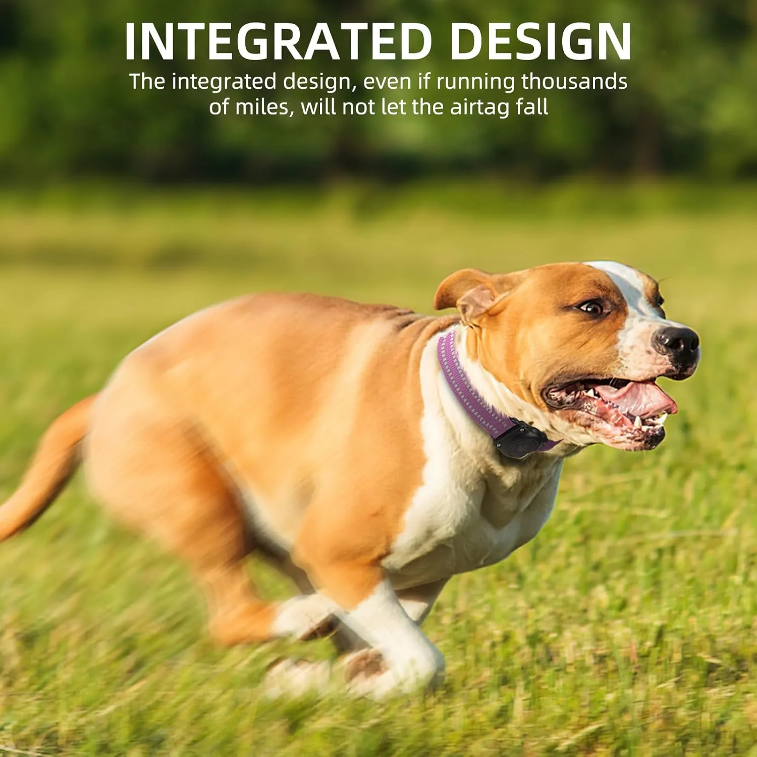 Airtag Dog Collar, 100% Waterproof Integrated Apple Air Tag Dog Collars, Reflective GPS Dog Collar with Hard PC AirTag Holder Case for Small Medium Large Dog (Purple)