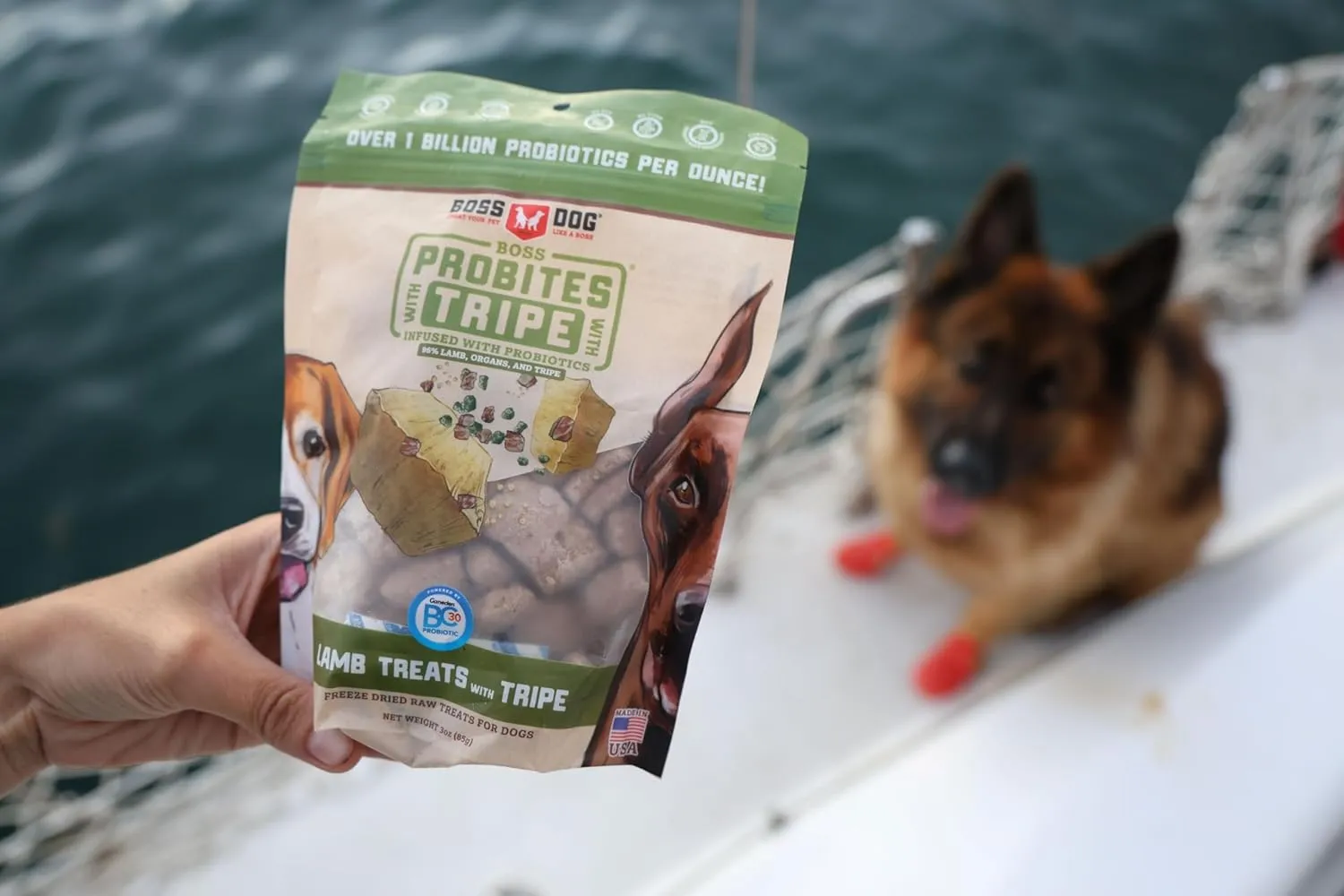 Boss Dog Boss Probites with Tripe Treats for Dogs & Cats, Lamb Recipe, 3 oz Bag (Bag of 2)
