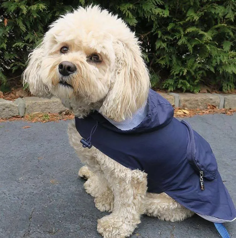 FabDog Raincoat for Dogs