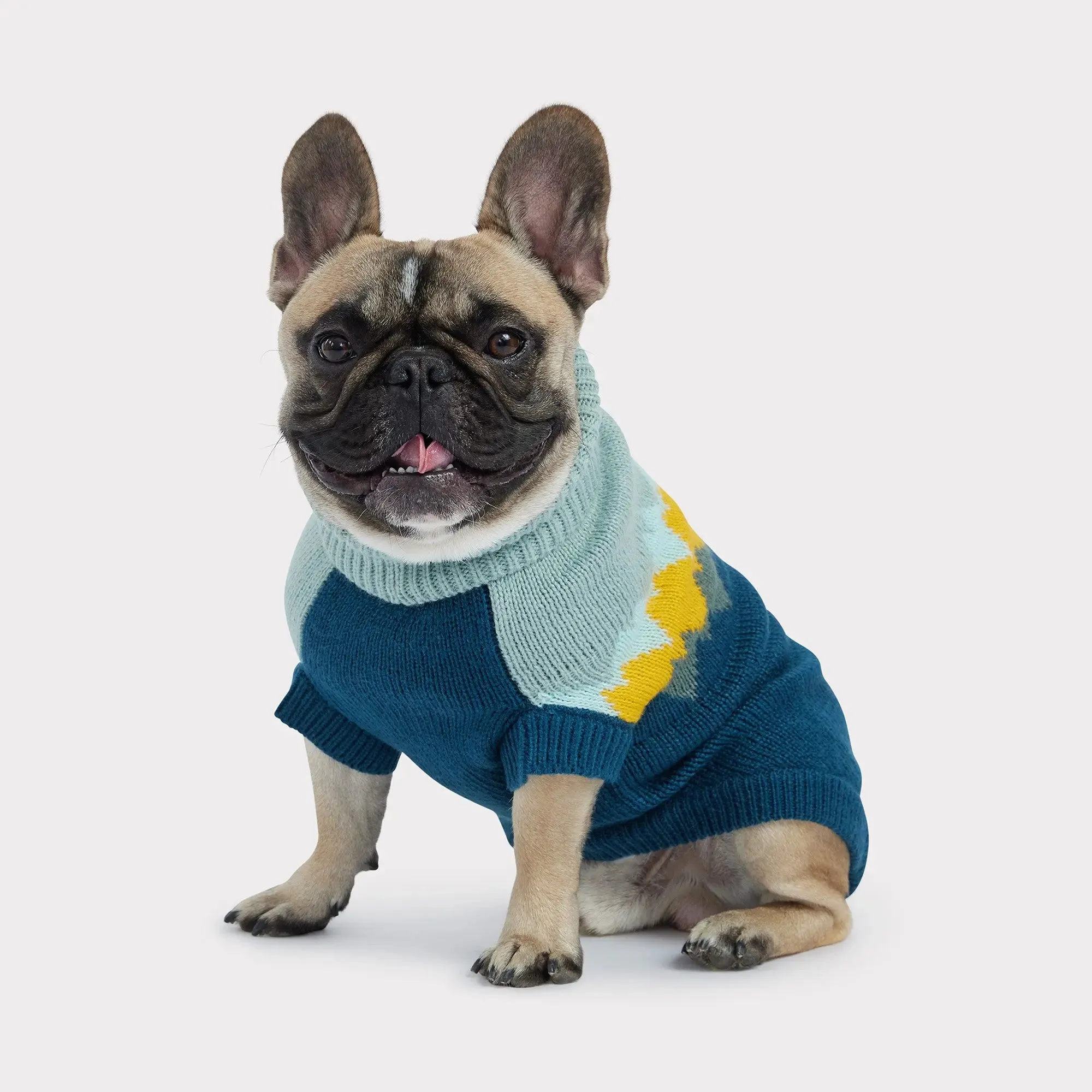 Fireside Dog Sweater | Dark Teal