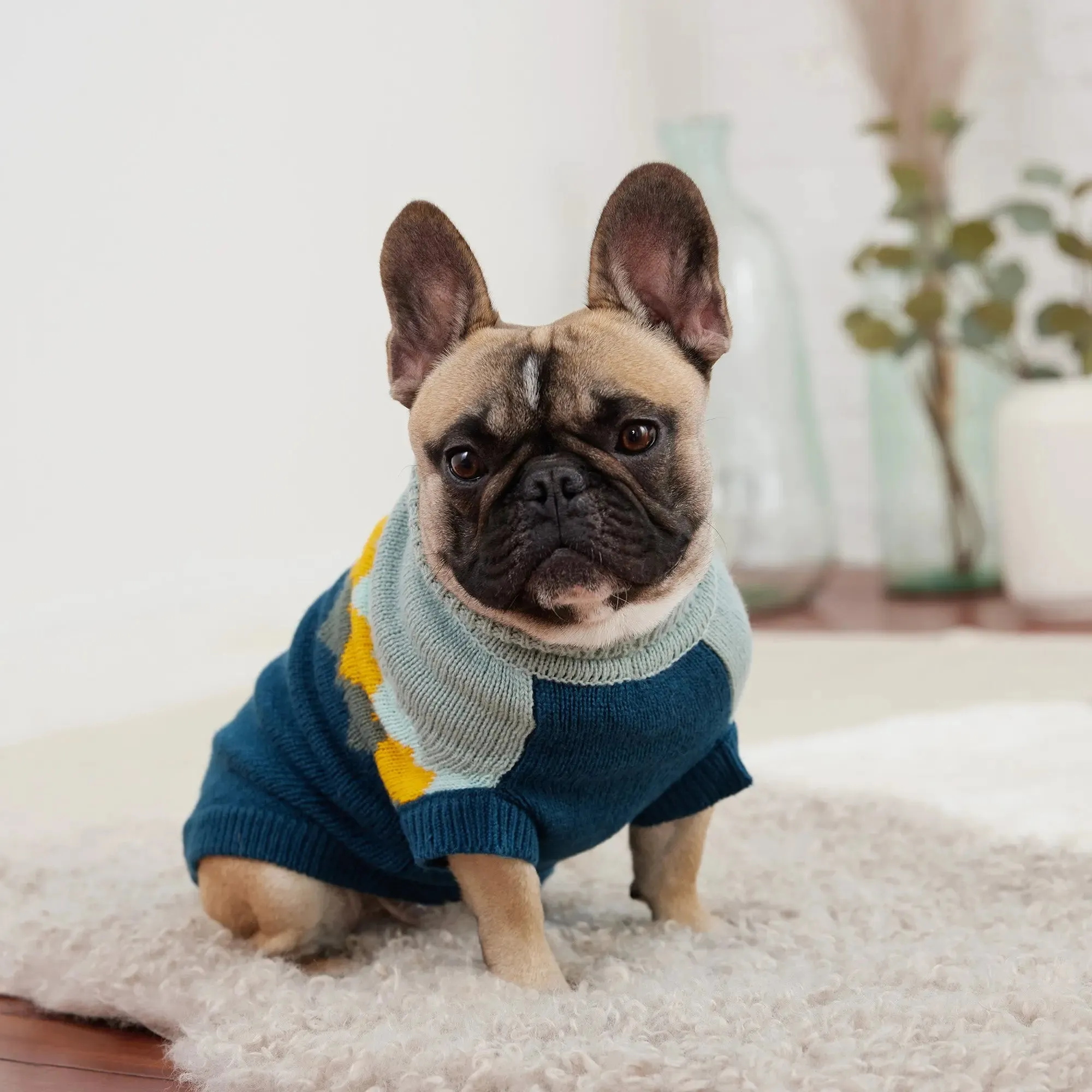 Fireside Dog Sweater | Dark Teal