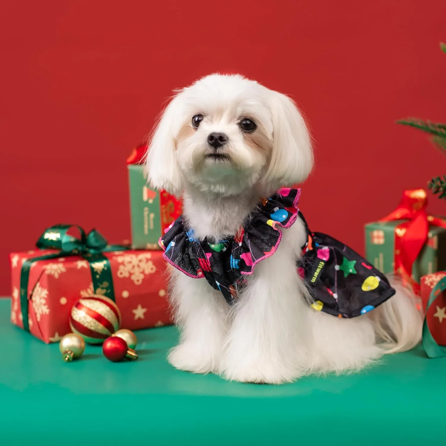 Fitwarm Christmas Light Dog Dress, Cute Dog Christmas Outfit, Doggy Clothes for Small Dogs Girl, Pet Apparel, Black, Pink, Red, Large