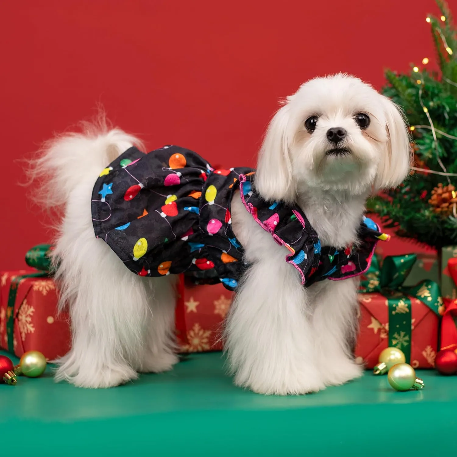 Fitwarm Christmas Light Dog Dress, Cute Dog Christmas Outfit, Doggy Clothes for Small Dogs Girl, Pet Apparel, Black, Pink, Red, Large