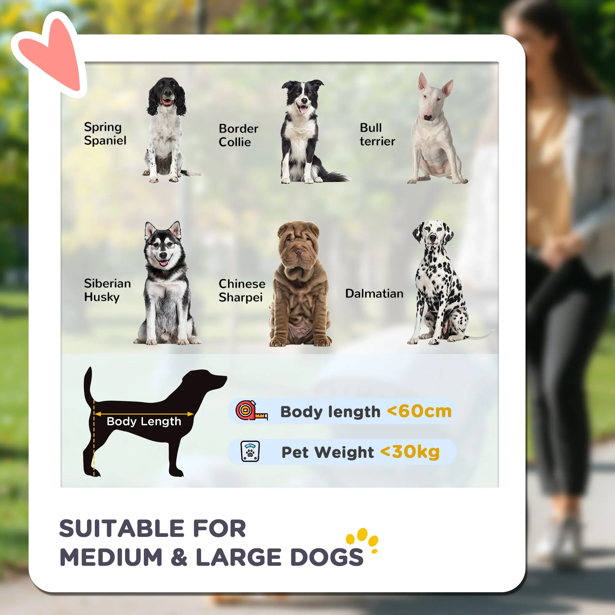 Foldable Pet Stroller, with Universal Wheels, Shock Absorber, for Medium and Large Dogs - Black