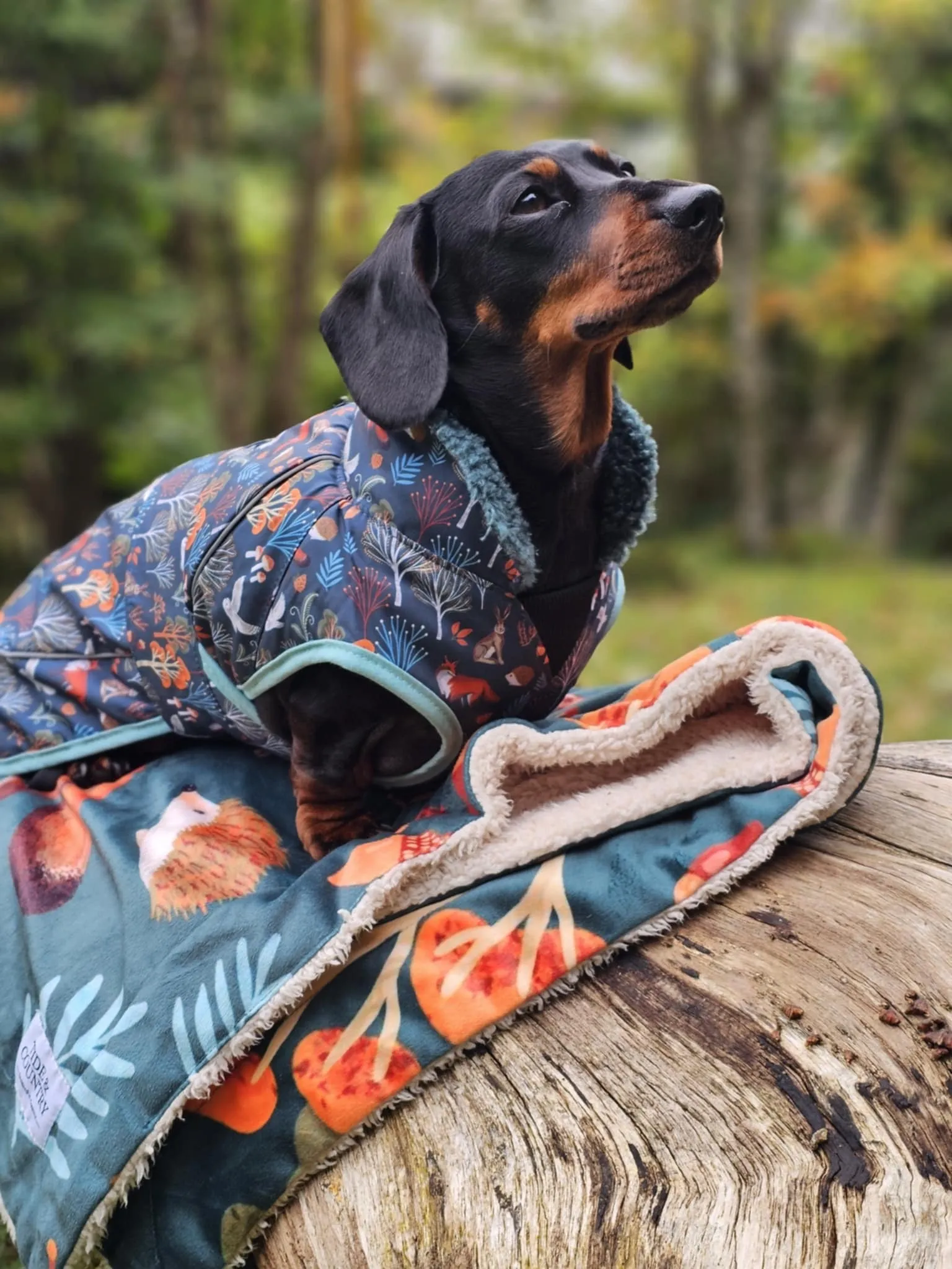 Forest & Fern Waterproof Dog Coat