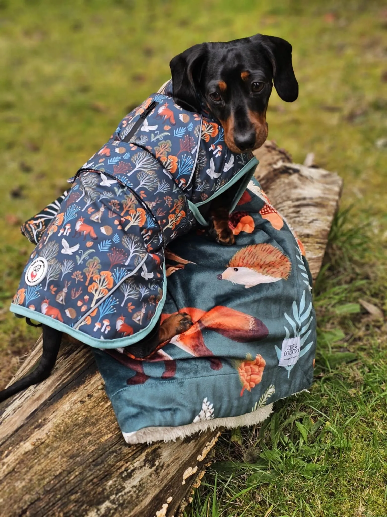 Forest & Fern Waterproof Dog Coat