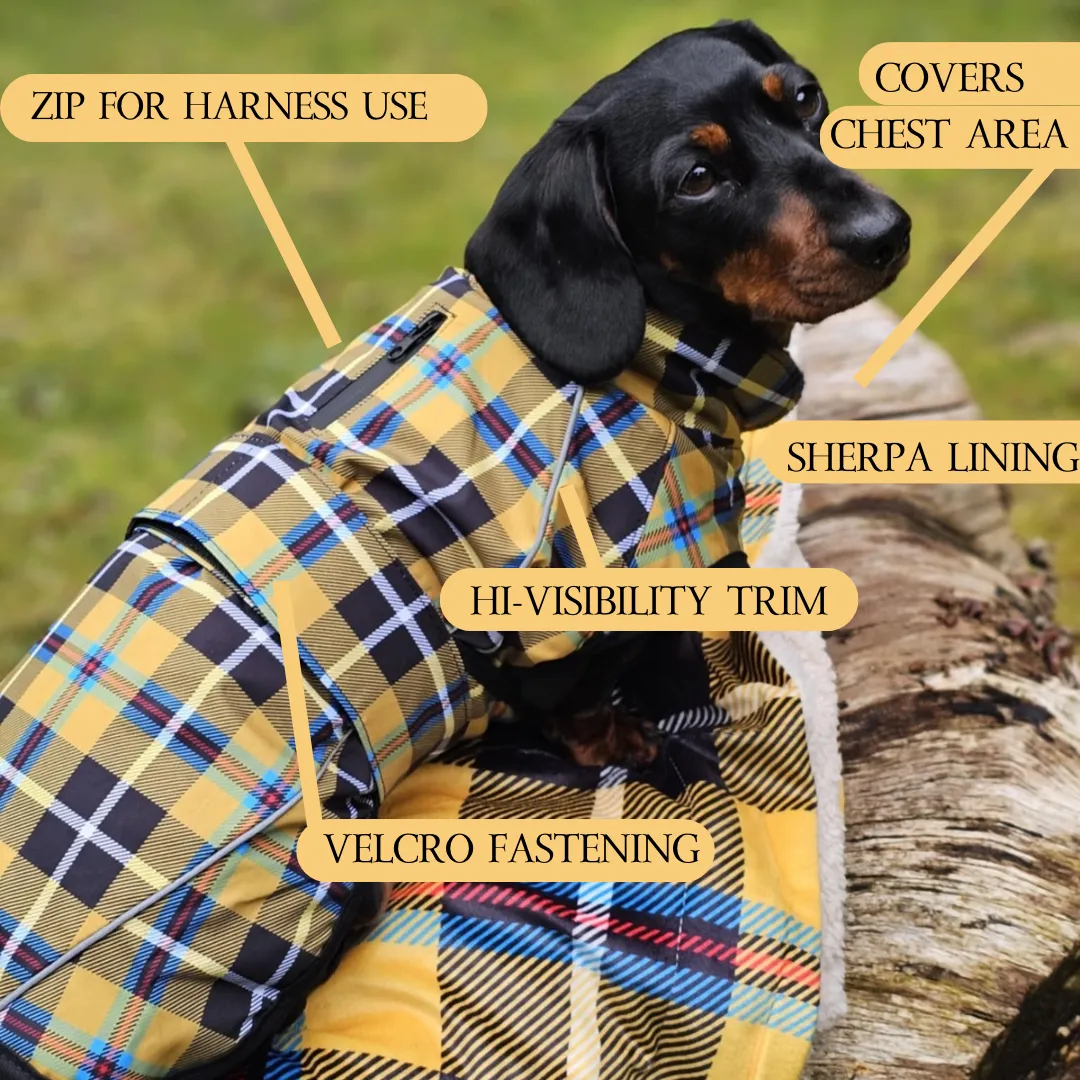 Forest & Fern Waterproof Dog Coat