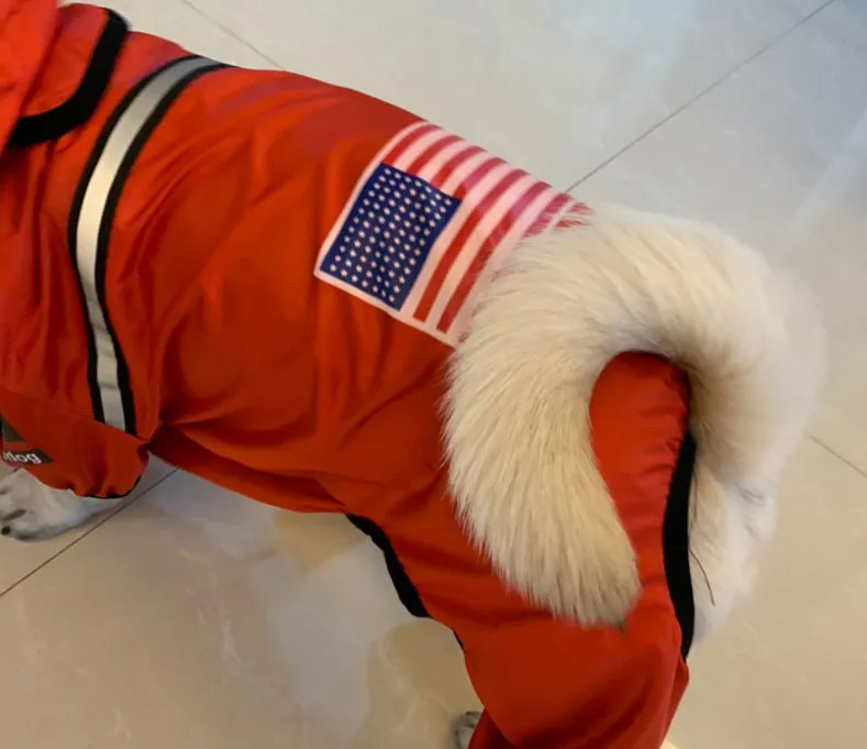 Four Legged Outdoor Waterproof Reflective Dog Raincoat