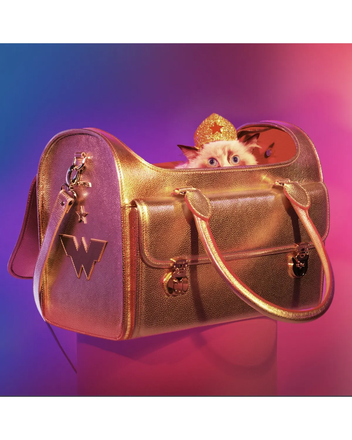 Golden Wonder Nest Cat Carrier