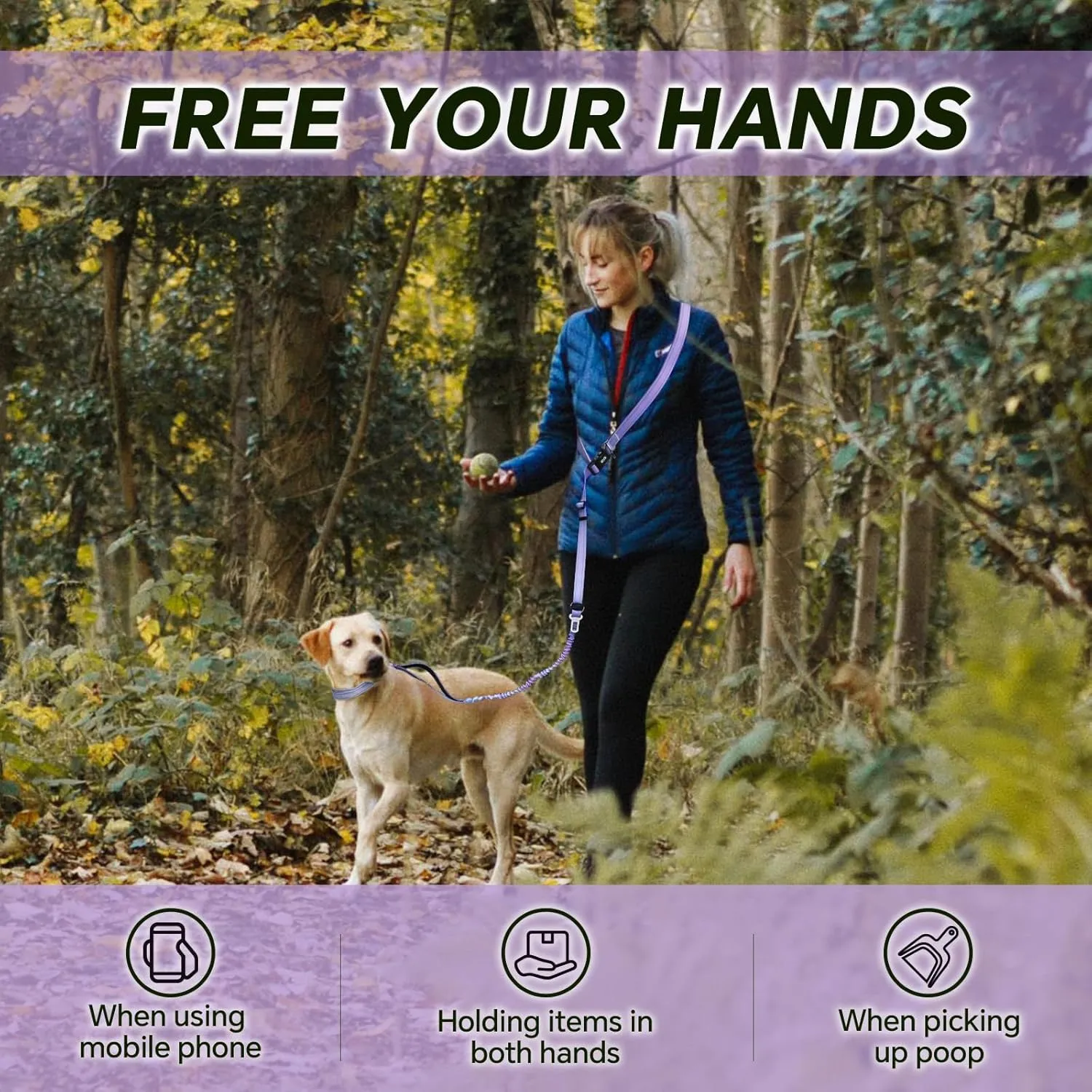 Hands Free Dog Leash, Adjustable Heavy Duty Bungee Waist Leash Belt for Medium Large Dogs Walking Running Hiking with Reflective(Purple)
