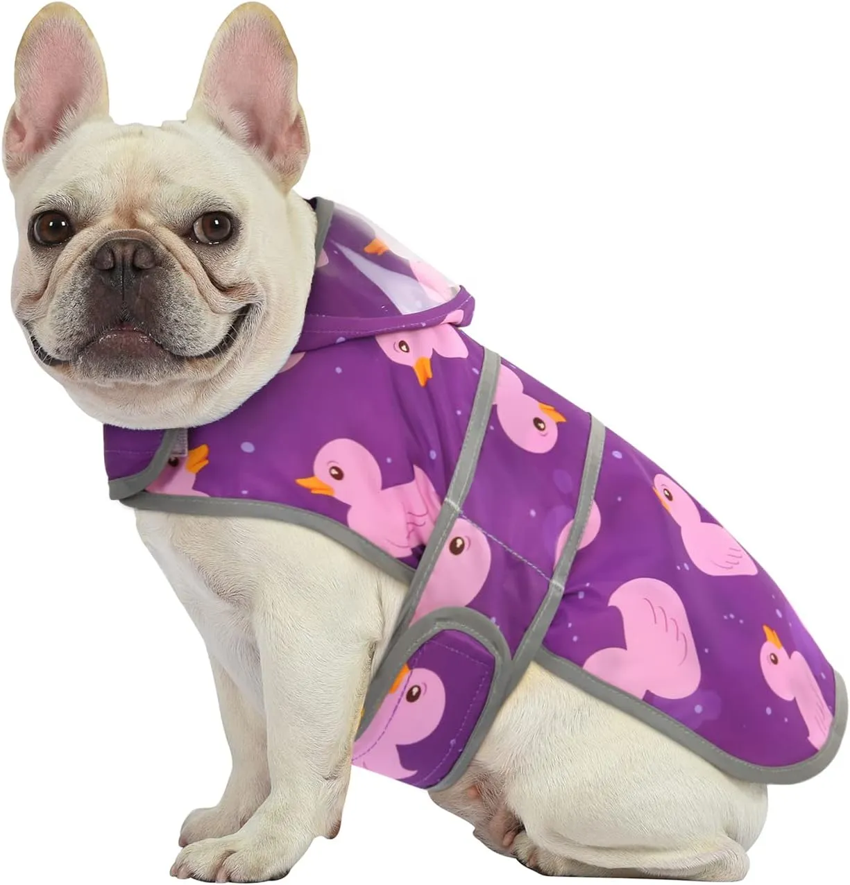 HDE Dog Raincoat with Clear Hood Rain Jacket Poncho for Small Medium Large Dogs Ducks Purple - S