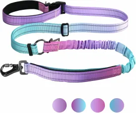 Heavy Duty Hands Free Dog Leash,Dual Handle Bungee Leash for Medium Large Dogs, Bungee Dog Running Waist LeashCross BodyShoulder & Waist with Car Seatbelt