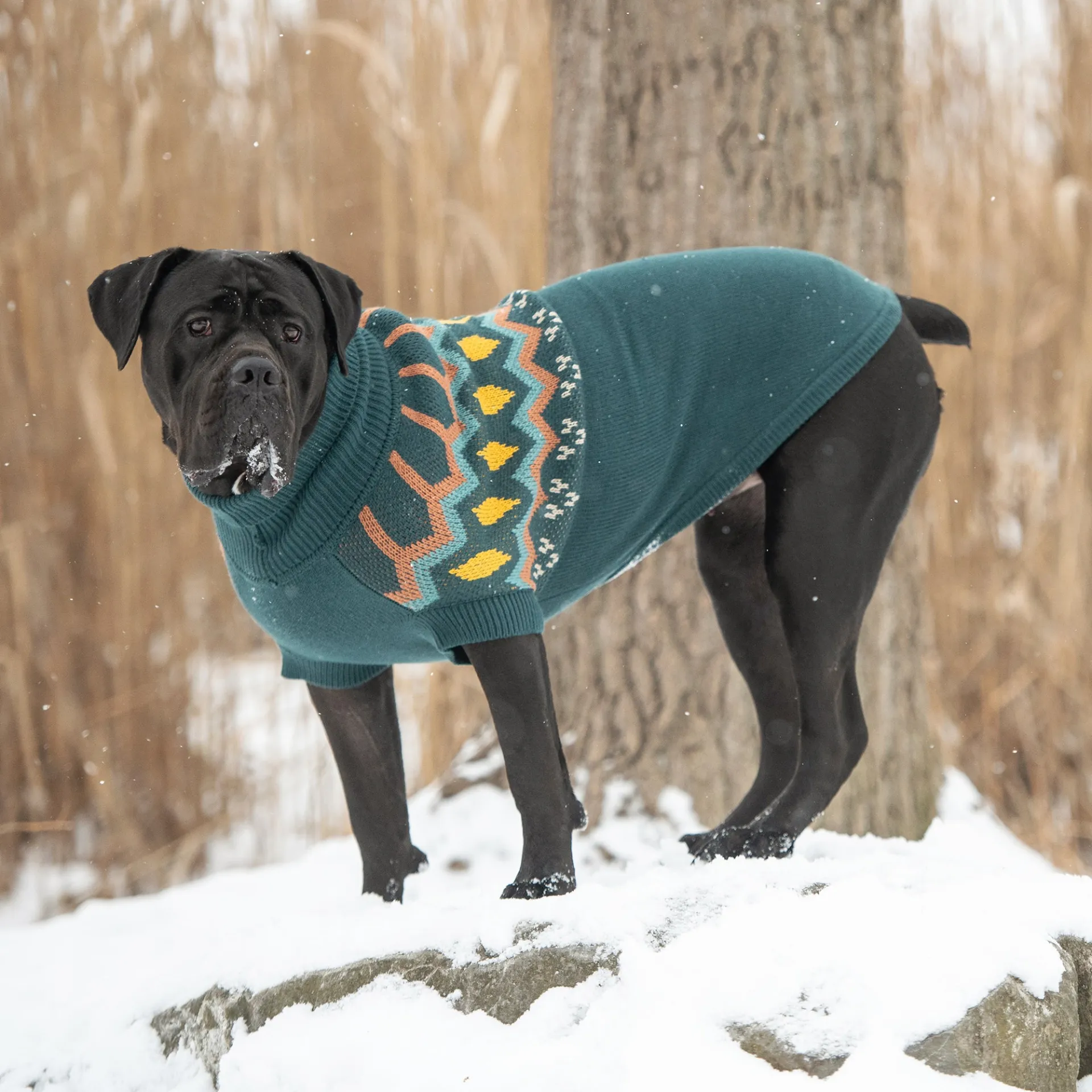 Heritage Sweater (Teal)