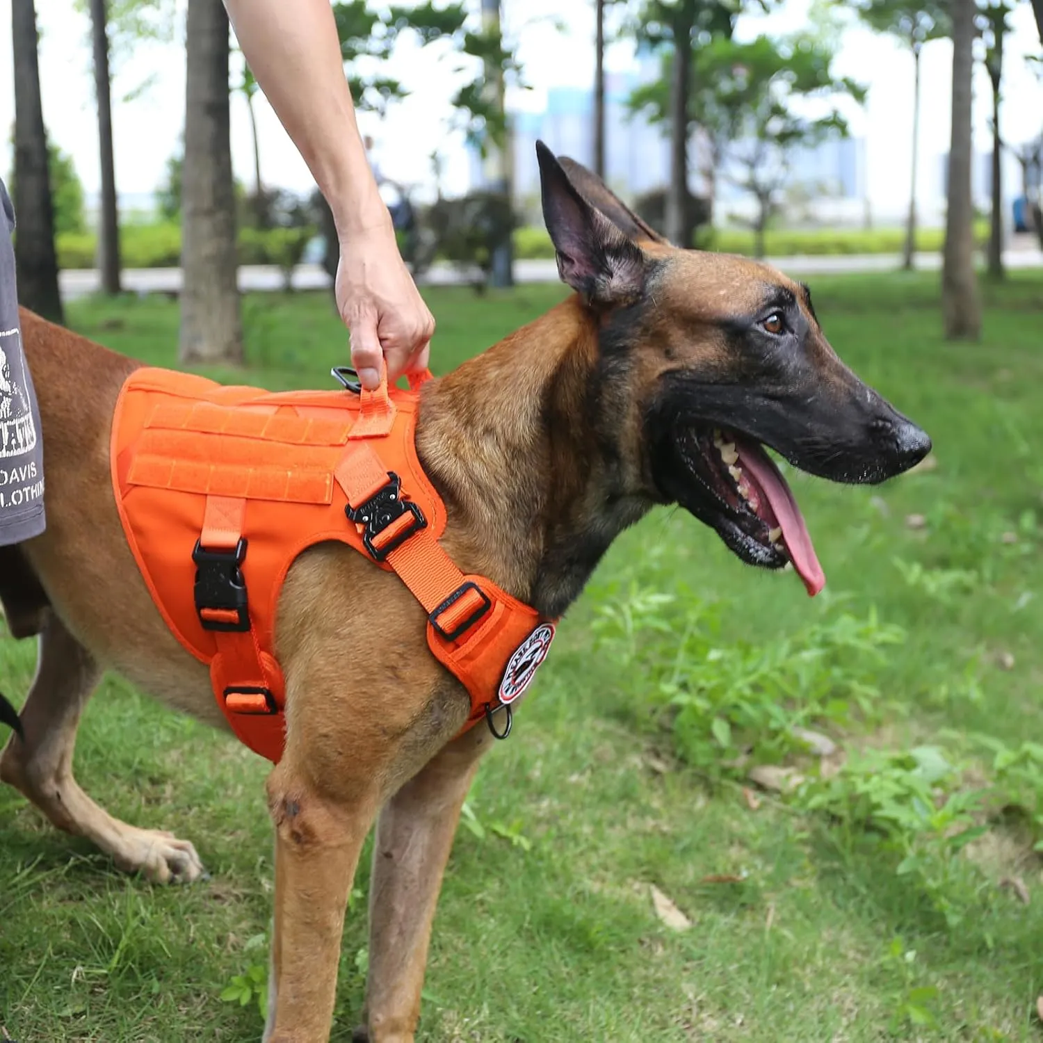 ICEFANG Tactical Dog Harness,Large Size, 2X Metal Buckle,Working Dog MOLLE Vest with Handle,No Pulling Front Leash Clip,Hook and Loop Panel