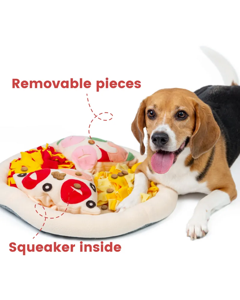 Pizza Snuffle Mat for Dogs & Cats