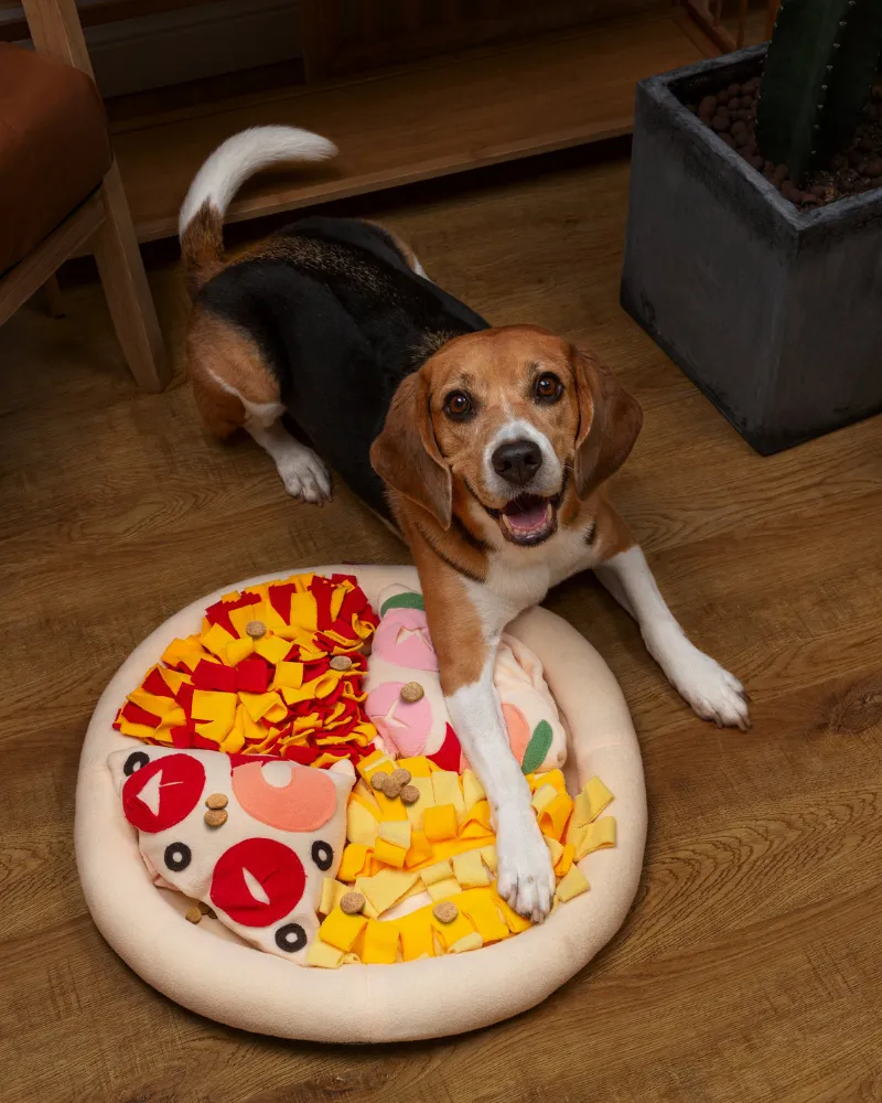 Pizza Snuffle Mat for Dogs & Cats