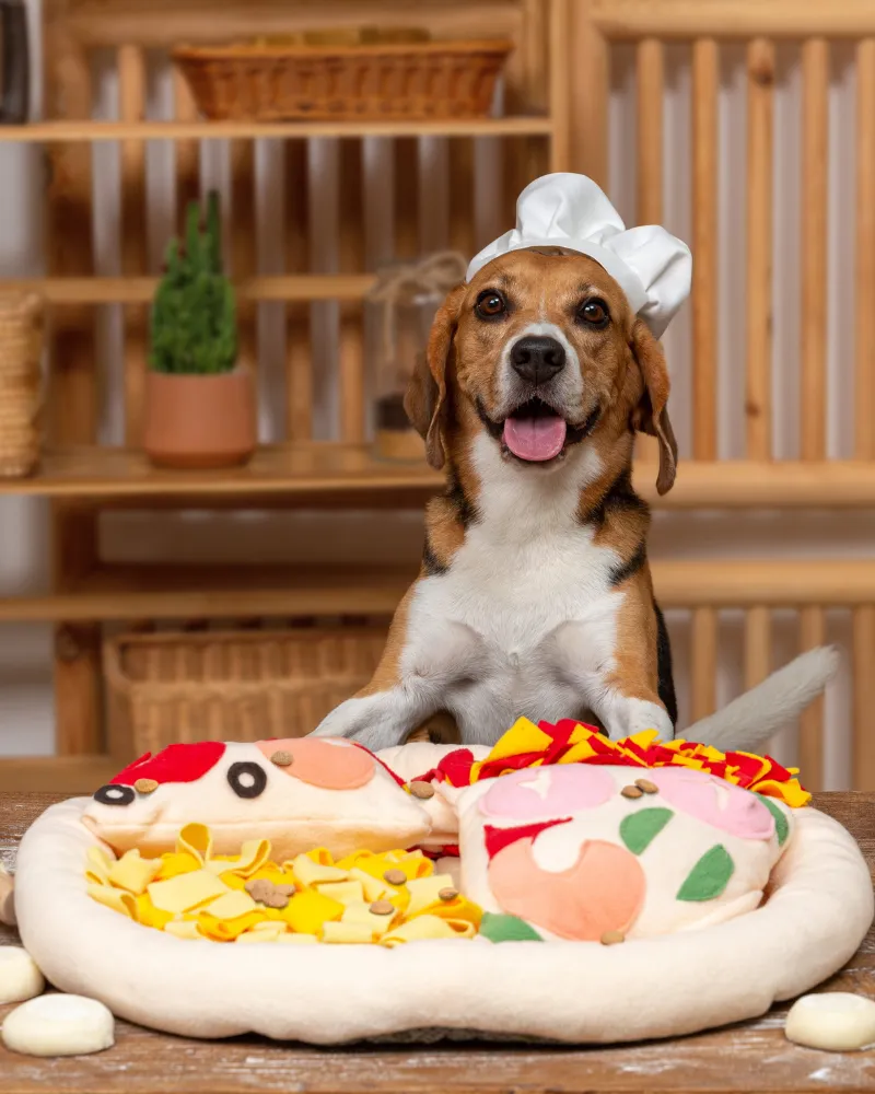 Pizza Snuffle Mat for Dogs & Cats