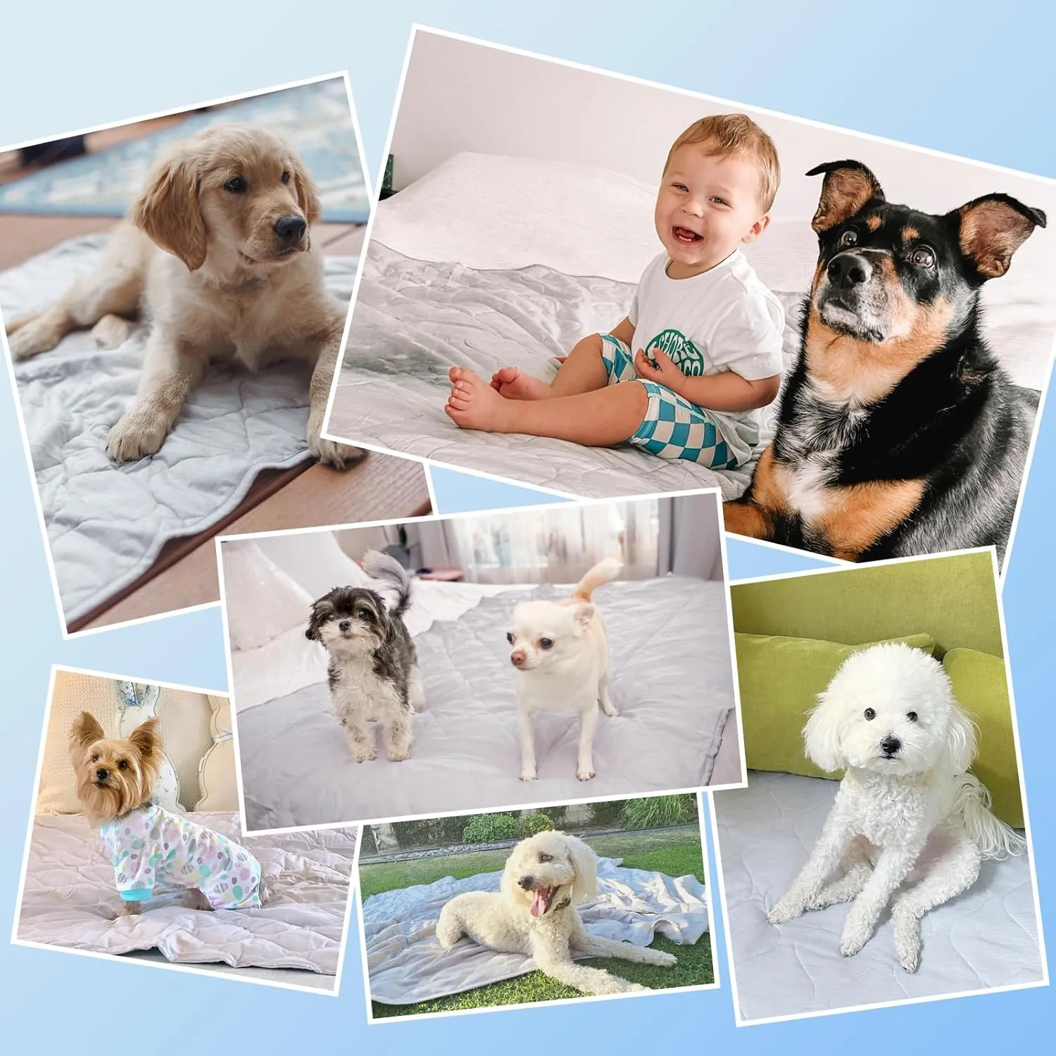 Rywell Cooling Mat for Dogs,32 * 44IN, Dog Cooling Mat Q-Max>0.5, Durable&Versatile with Cooling&Soft Surfaces for All Seasons,Protect Furniture from Scratches&Chewing,Washable Dog Blanket