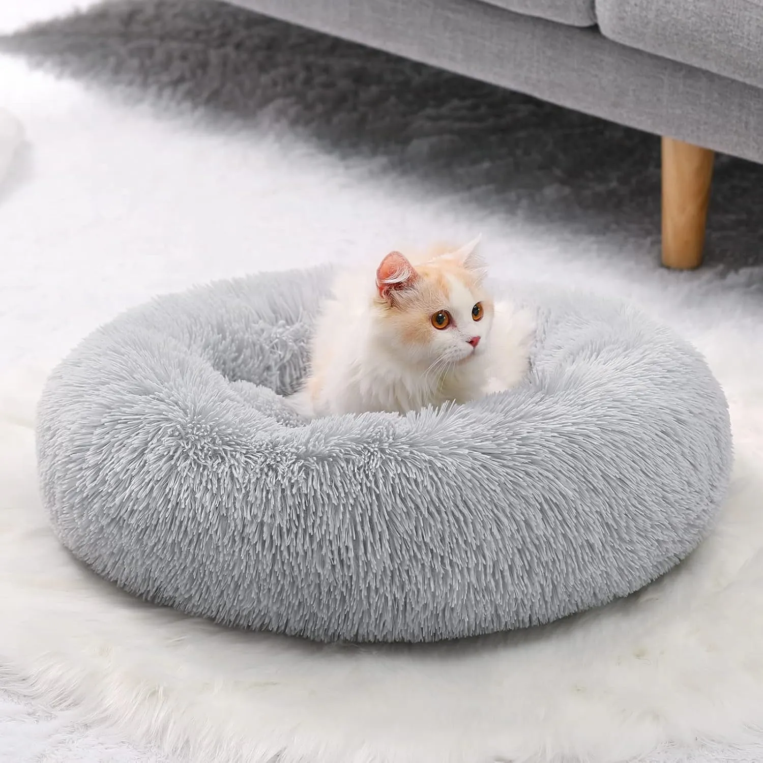 Small Cat Bed for Indoor Cats, Self-Warming Donut Kitty Bed for Small Cats Keeping Warm, Washable Pet Bed with Anti Slip Base, 20 LightGrey
