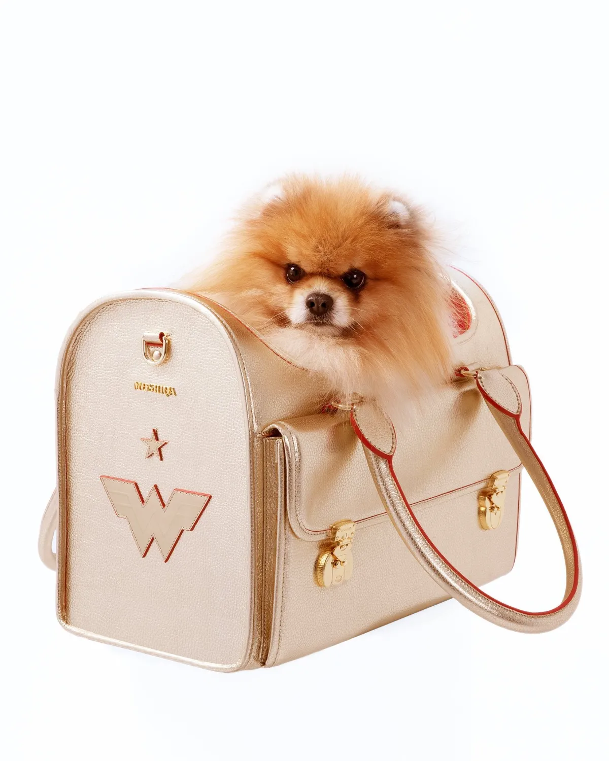 The Golden Wonder Nest Dog Carrier