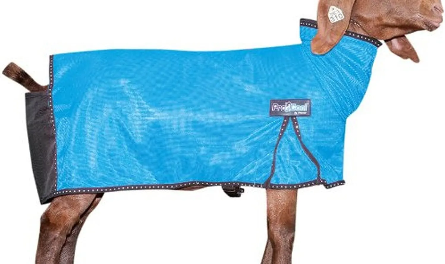 Weaver Livestock ProCool Goat Blanket