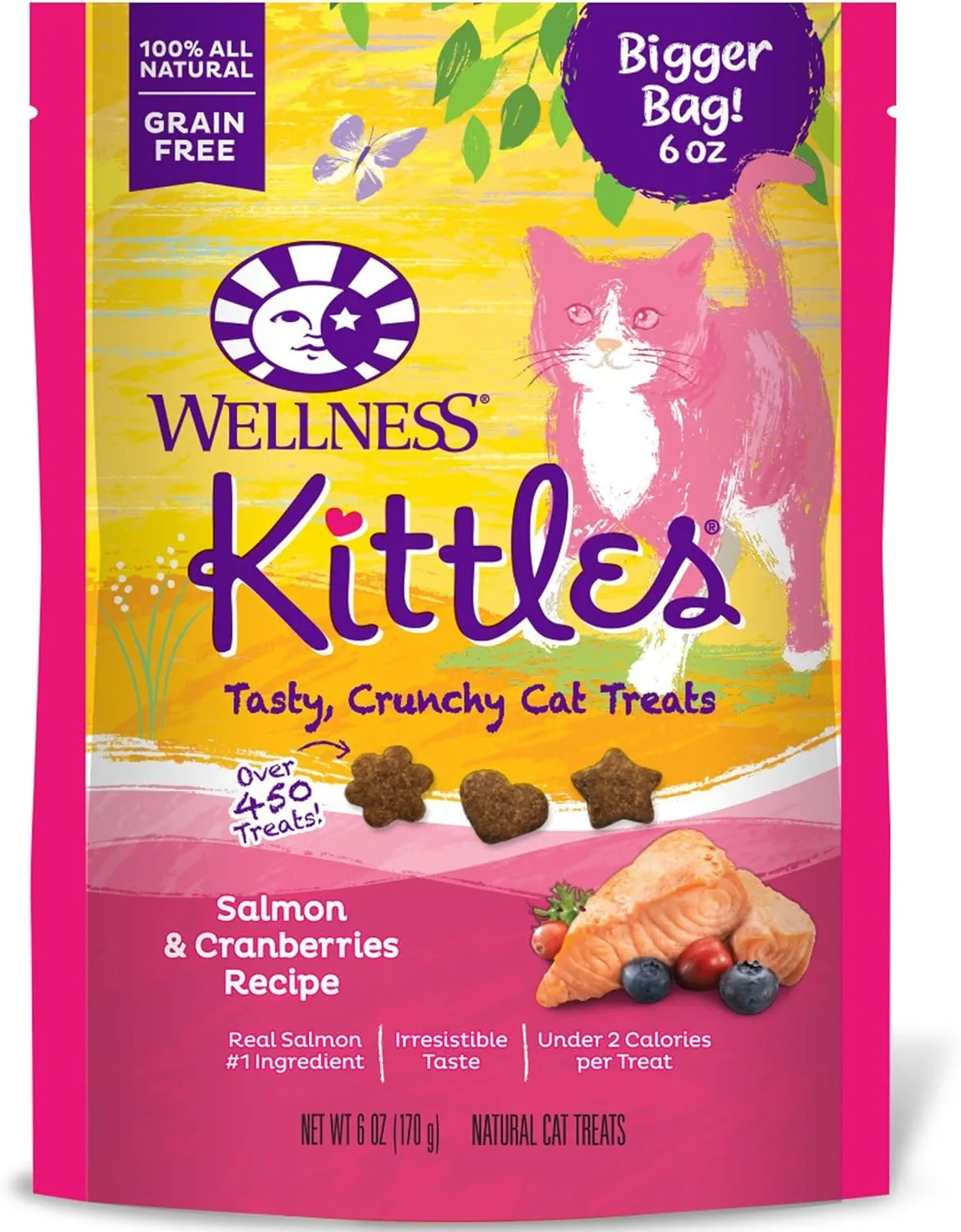 Wellness Complete Health Grain Free Senior Dry Cat Food, 5 Pound Bag Bundle Kittles Natural Grain Free Cat Treats (Chicken, 2 oz)