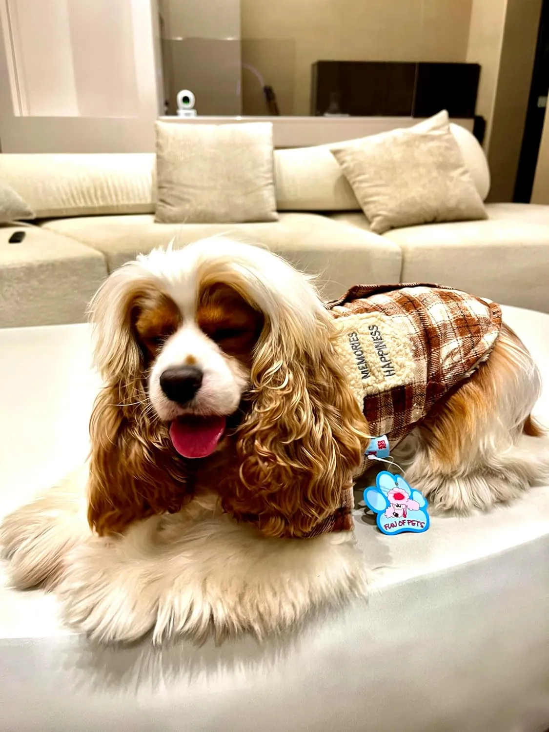 Windproof Warm Jackets for Dogs: Cold Weather Coat with Lapel, Berber Fleece Extra Warm Pet Apparel Button Design for Small Dogs(Brown,Medium)