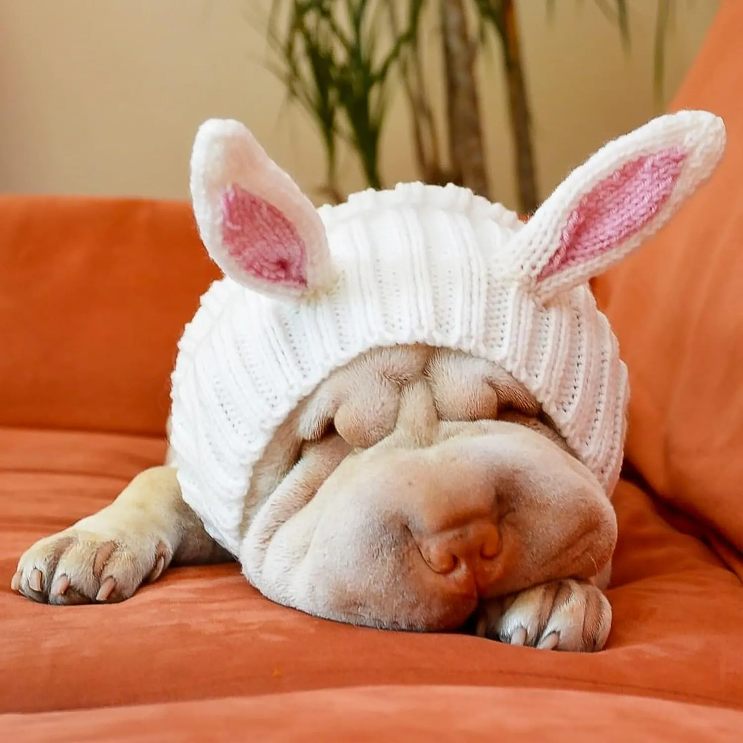 Zoo Snoods Bunny Costume - Knit Easter Dog Snood Ear Wrap for Pets, Warm Neck Cover for Halloween and Winter (Large)