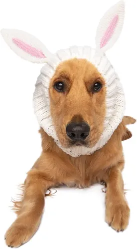 Zoo Snoods Bunny Costume - Knit Easter Dog Snood Ear Wrap for Pets, Warm Neck Cover for Halloween and Winter (Large)